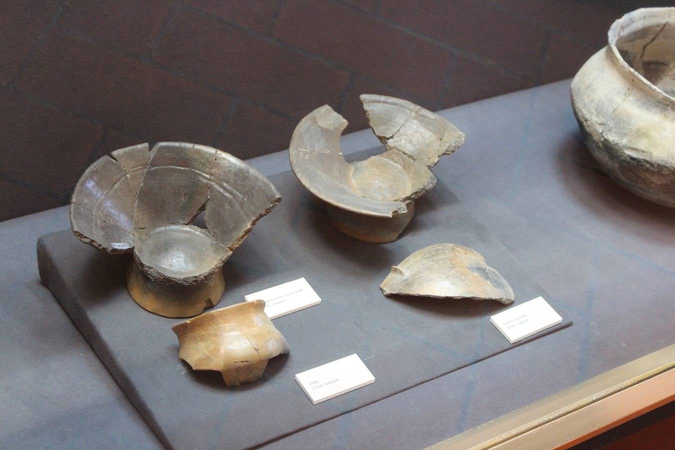 Cerámicas encontradas en la excavación de la localidad de Soto de Medinilla.