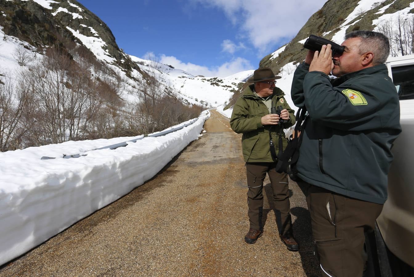 Reserva Regional de Caza de Riaño (León)