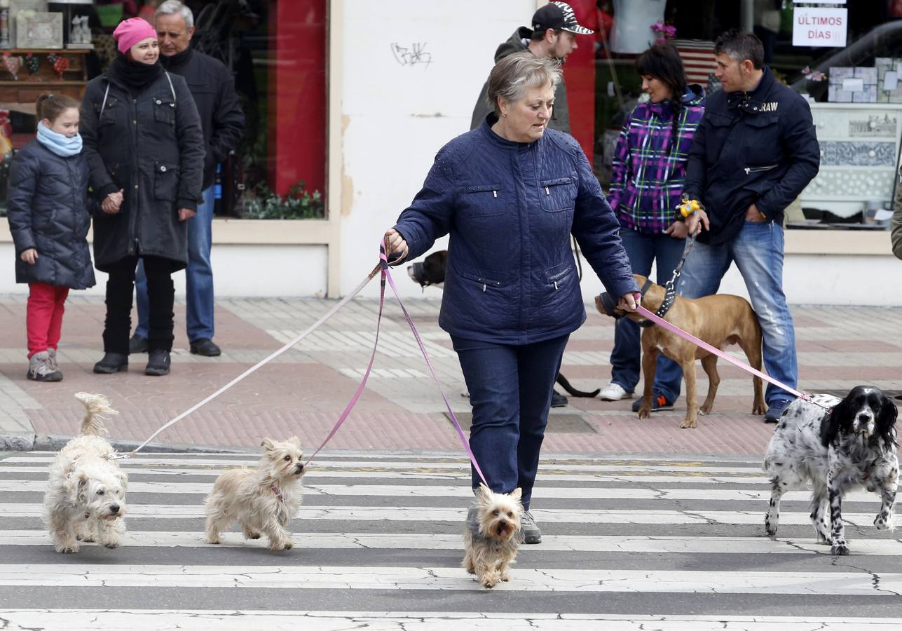 Marcha por los derechos de los animales en León