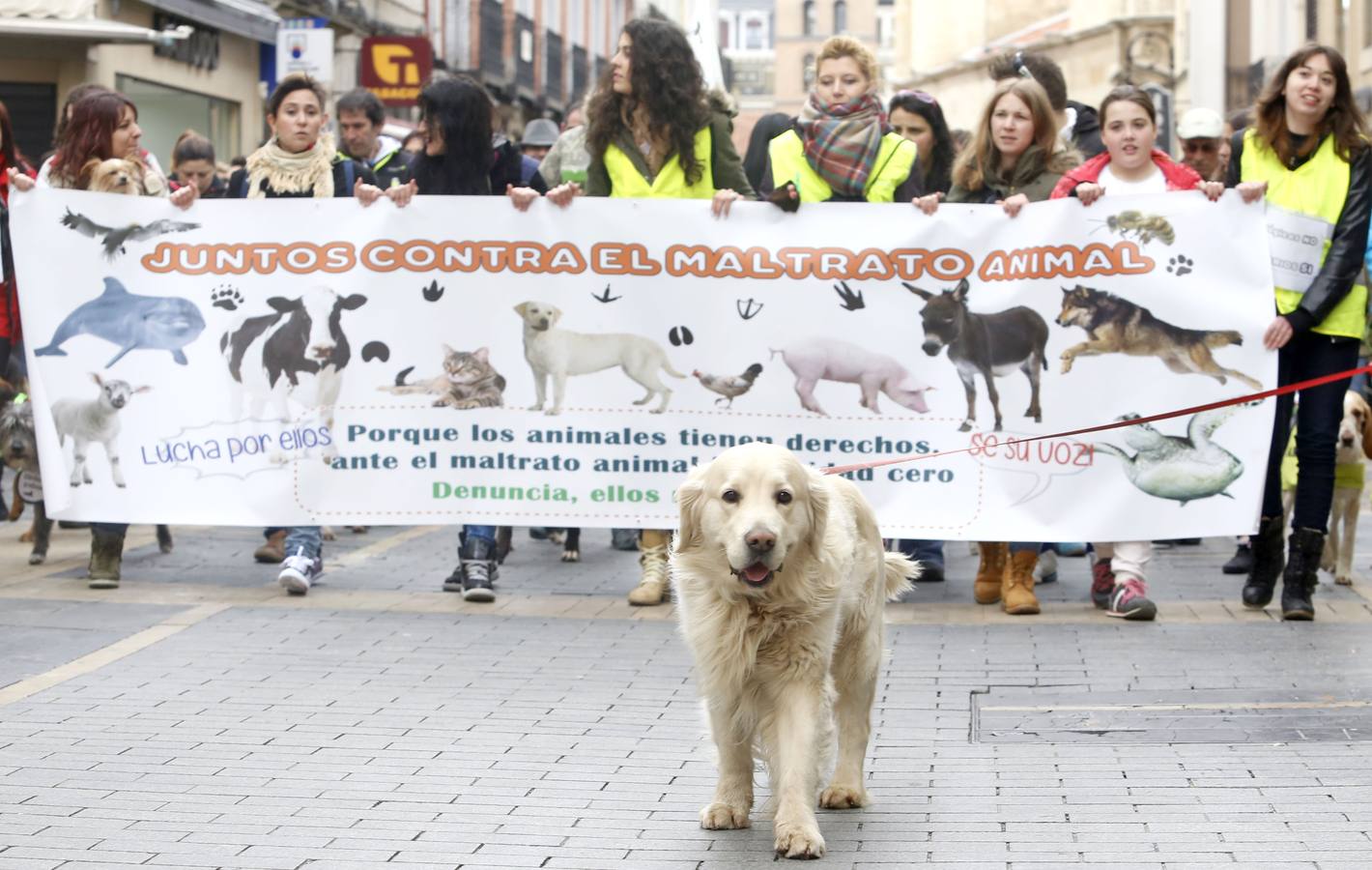 Marcha por los derechos de los animales en León