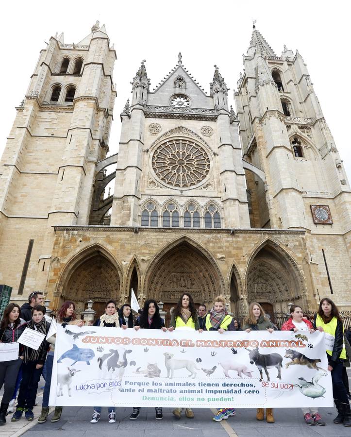 Marcha por los derechos de los animales en León