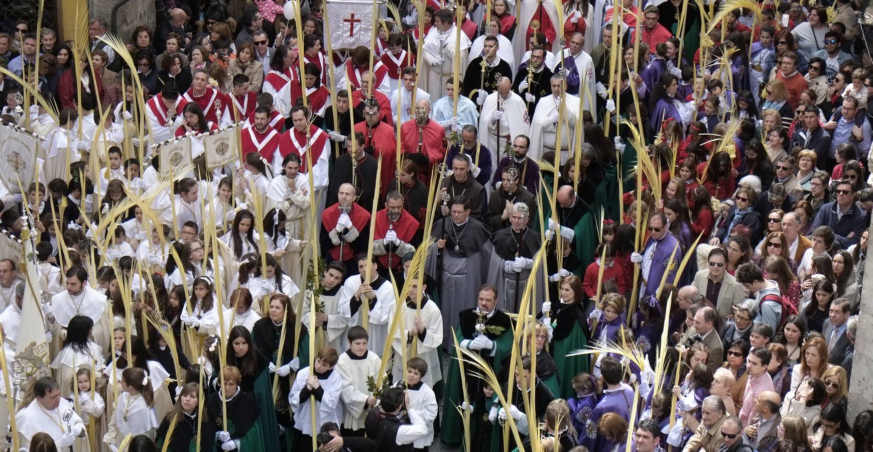 Multitudinaria procesión de las Palmas en Valladolid (1/2)