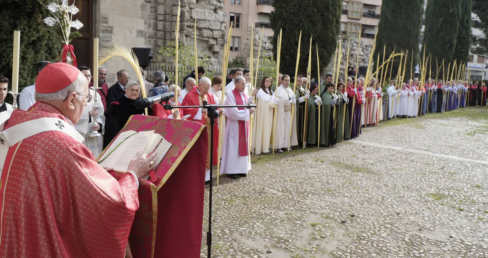 Multitudinaria procesión de las Palmas en Valladolid (1/2)