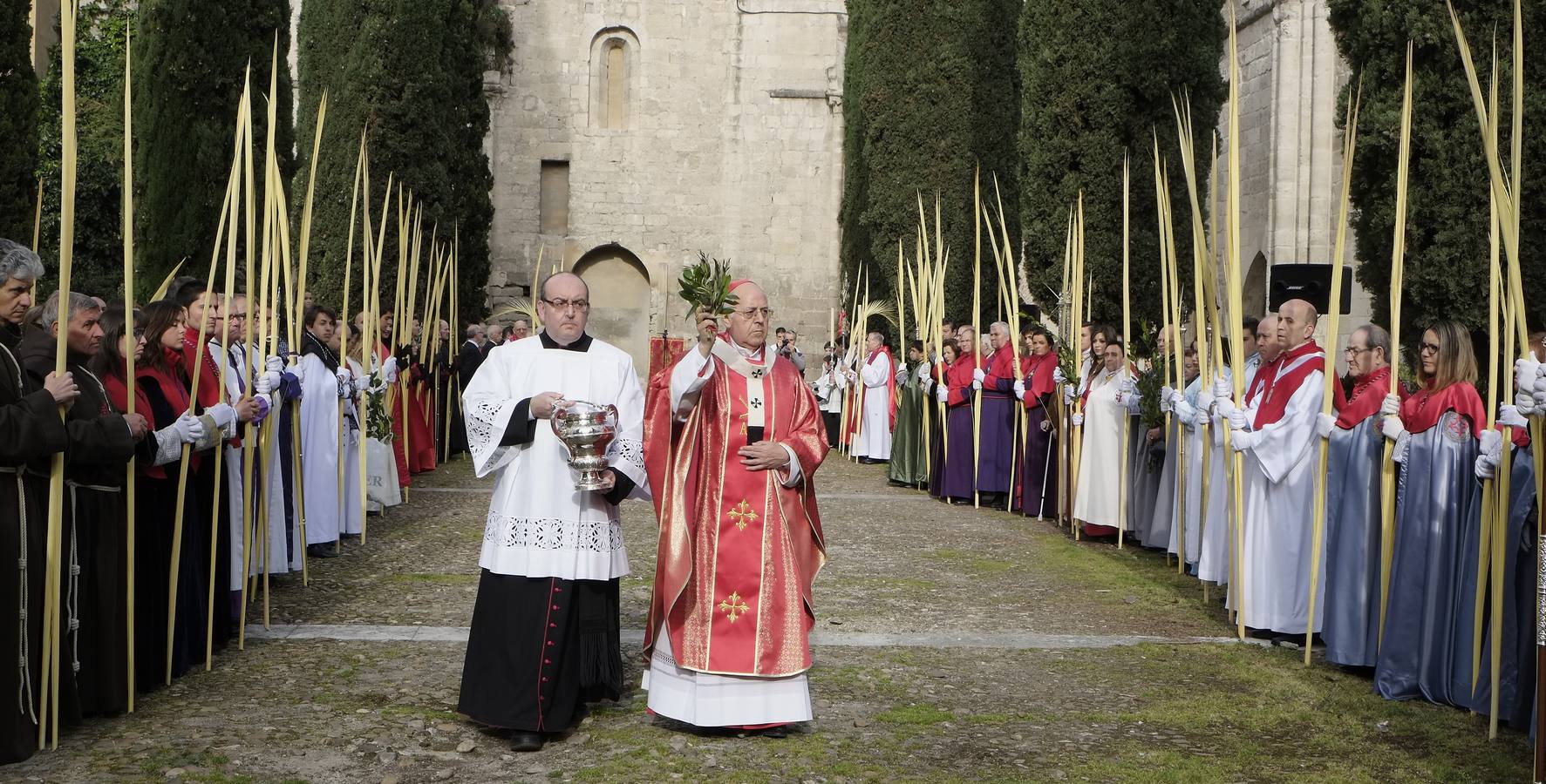 Multitudinaria procesión de las Palmas en Valladolid (1/2)