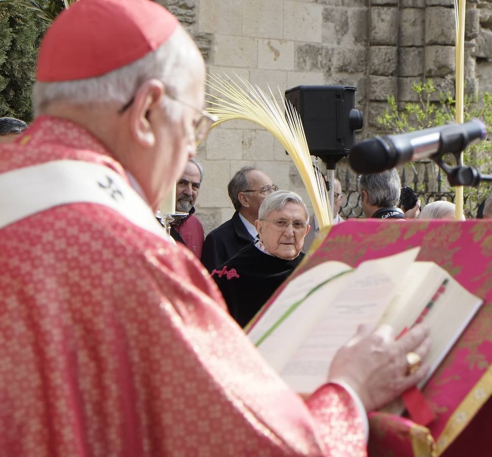 Multitudinaria procesión de las Palmas en Valladolid (1/2)