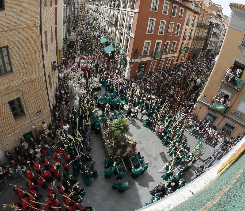 Multitudinaria procesión de las Palmas en Valladolid (1/2)