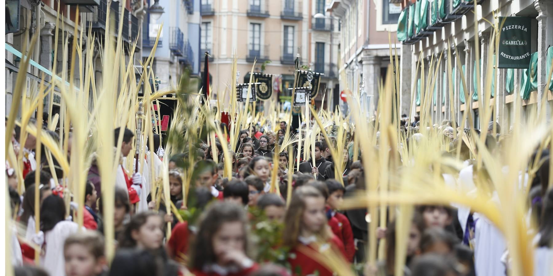 Multitudinaria procesión de las Palmas en Valladolid (1/2)