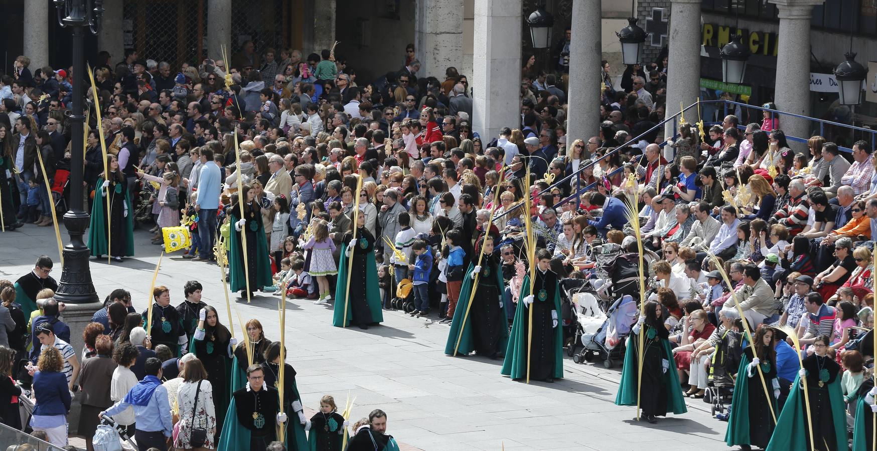 Multitudinaria procesión de las Palmas en Valladolid (2/2)