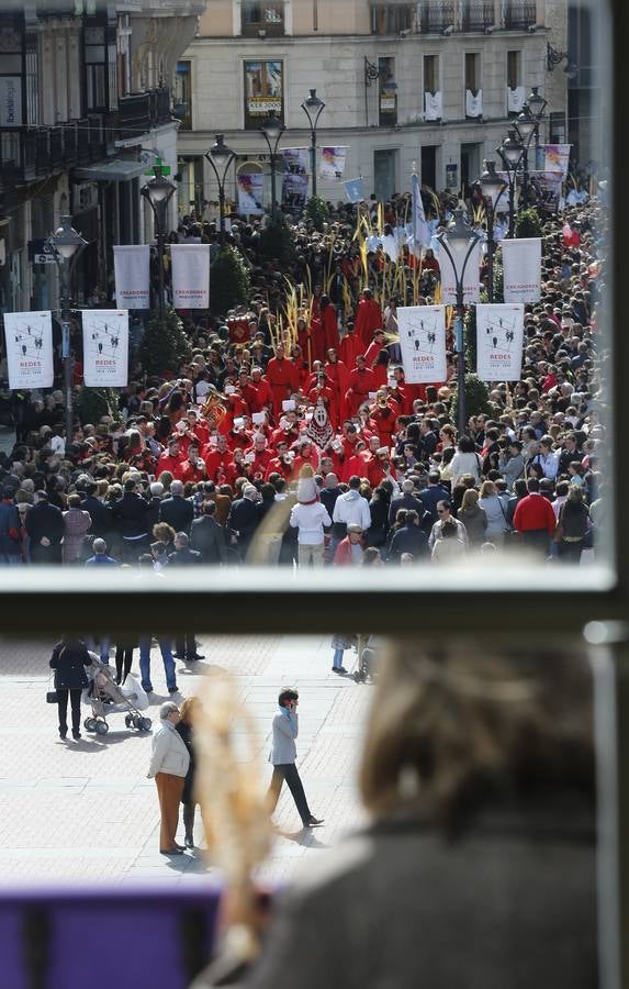 Multitudinaria procesión de las Palmas en Valladolid (2/2)