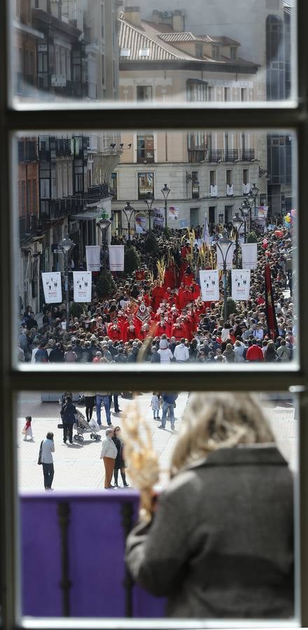 Multitudinaria procesión de las Palmas en Valladolid (2/2)