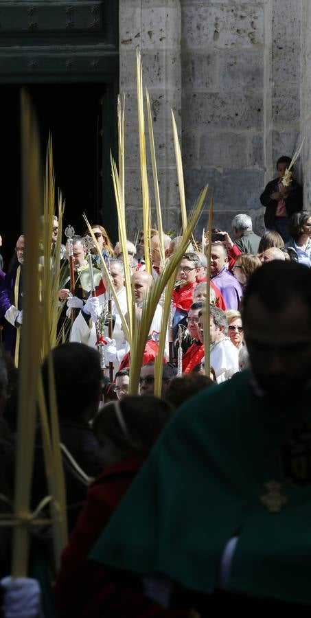 Multitudinaria procesión de las Palmas en Valladolid (2/2)