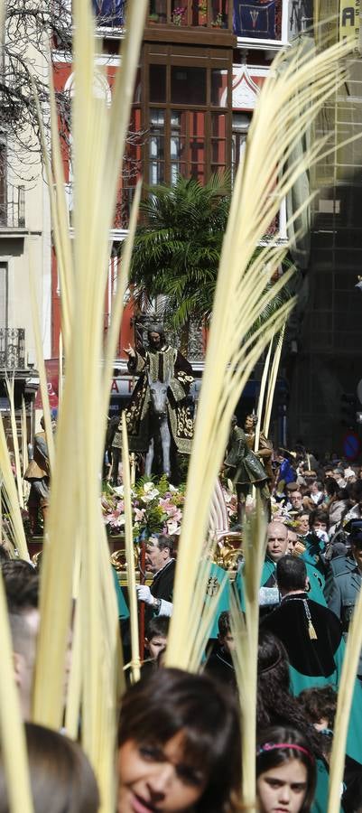 Multitudinaria procesión de las Palmas en Valladolid (2/2)