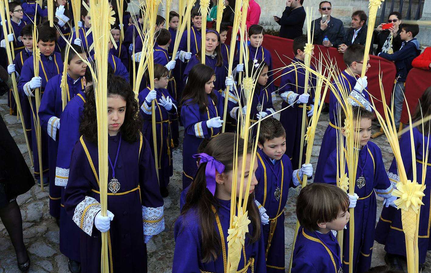 Procesión de la borriquilla en Medina del Campo