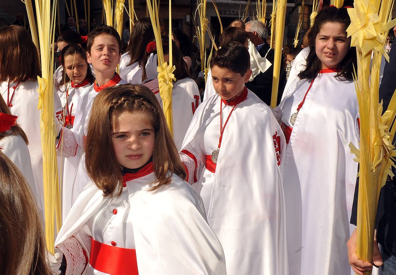 Procesión de la borriquilla en Medina del Campo