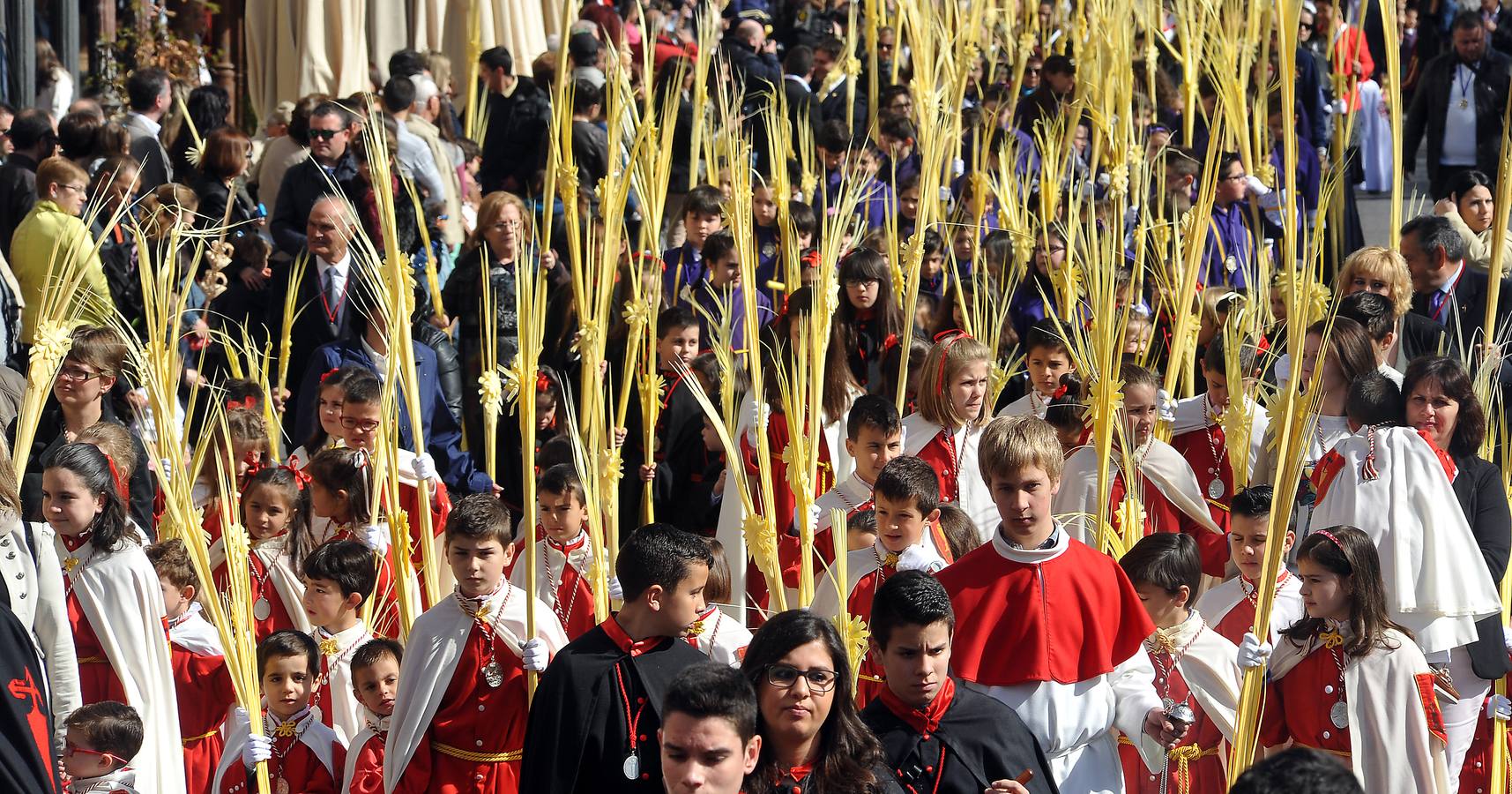 Procesión de la borriquilla en Medina del Campo