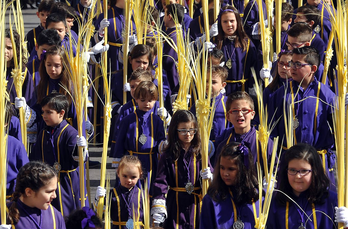 Procesión de la borriquilla en Medina del Campo