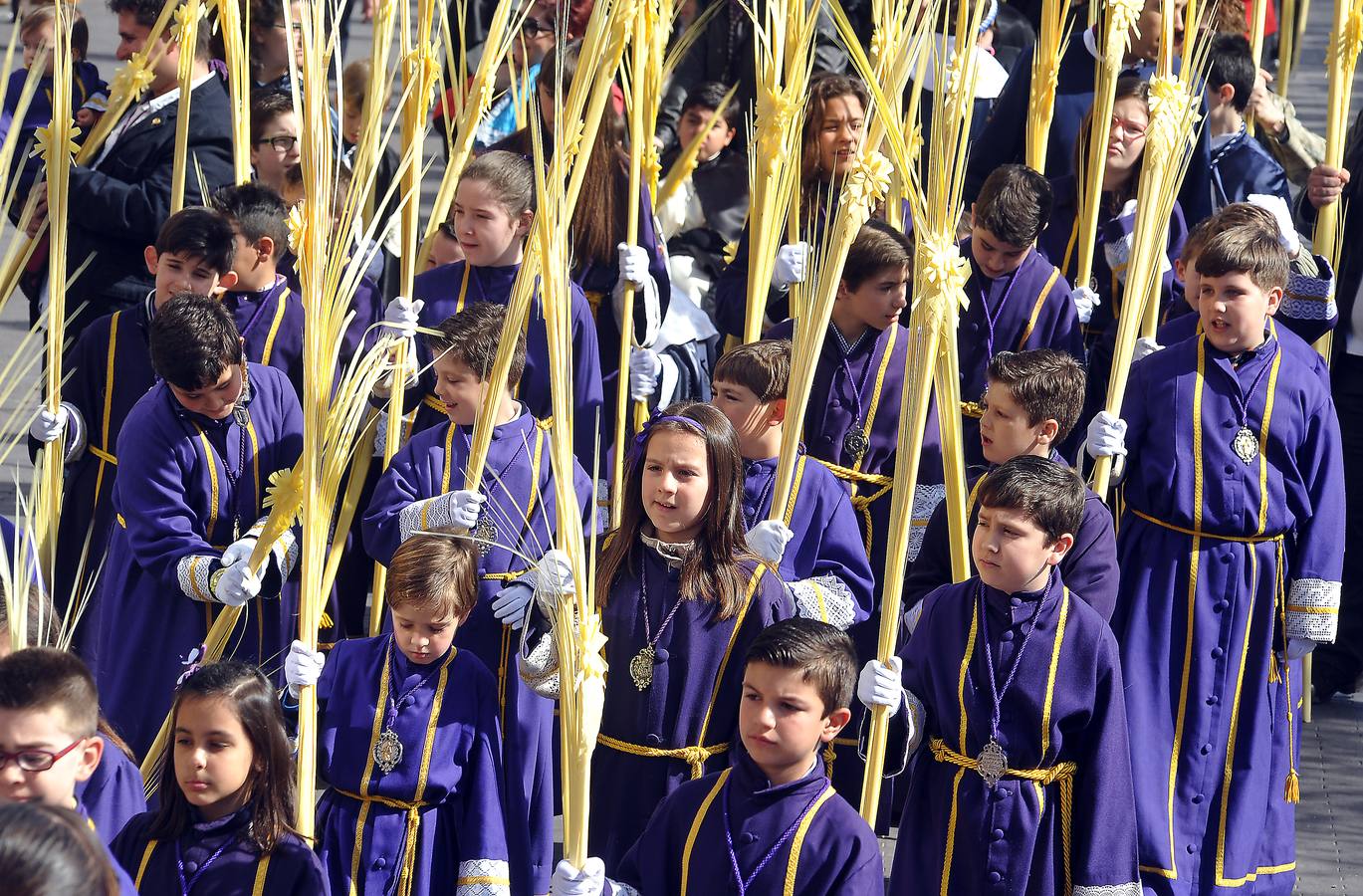 Procesión de la borriquilla en Medina del Campo