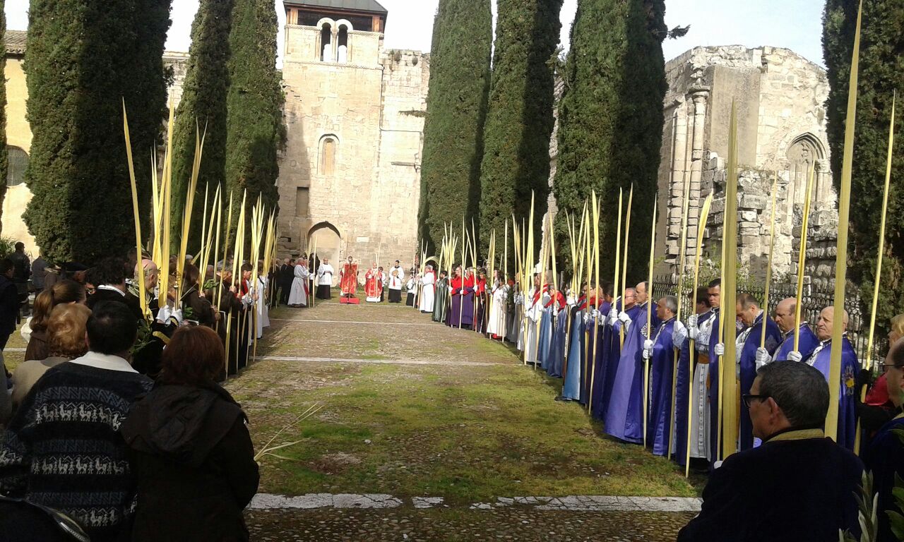 Procesión de las Palmas en Valladolid