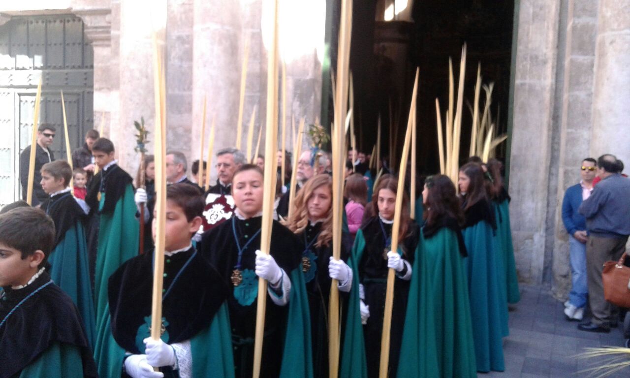 Procesión de las Palmas en Valladolid