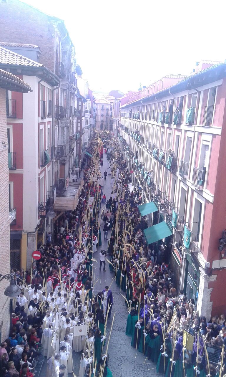 Procesión de las Palmas en Valladolid