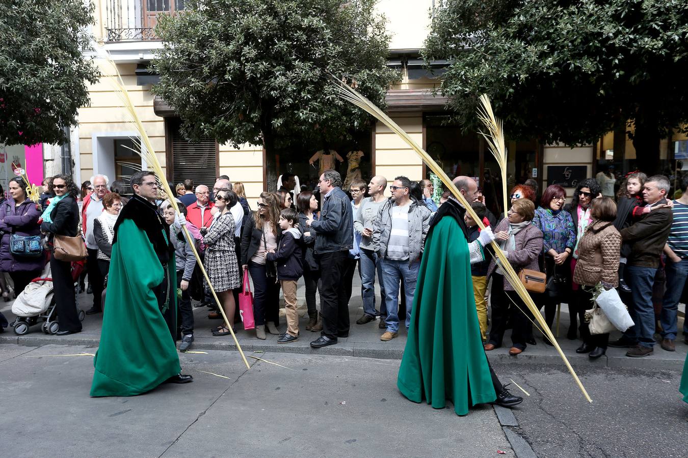 Valladolid sale a la calle para acompañar a La Borriquilla (1/2)