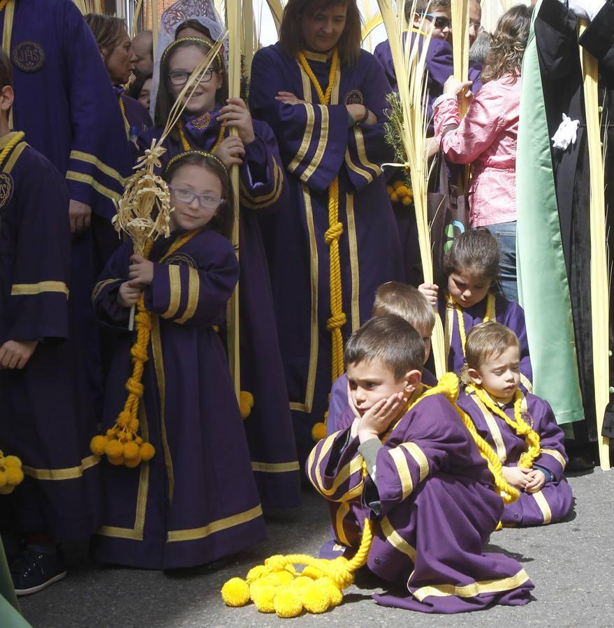 Procesión del Domingo de Ramos en Palencia