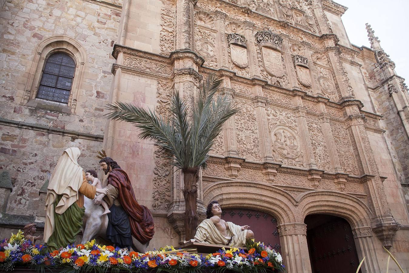 Procesión del Domingo de Ramos en Salamanca