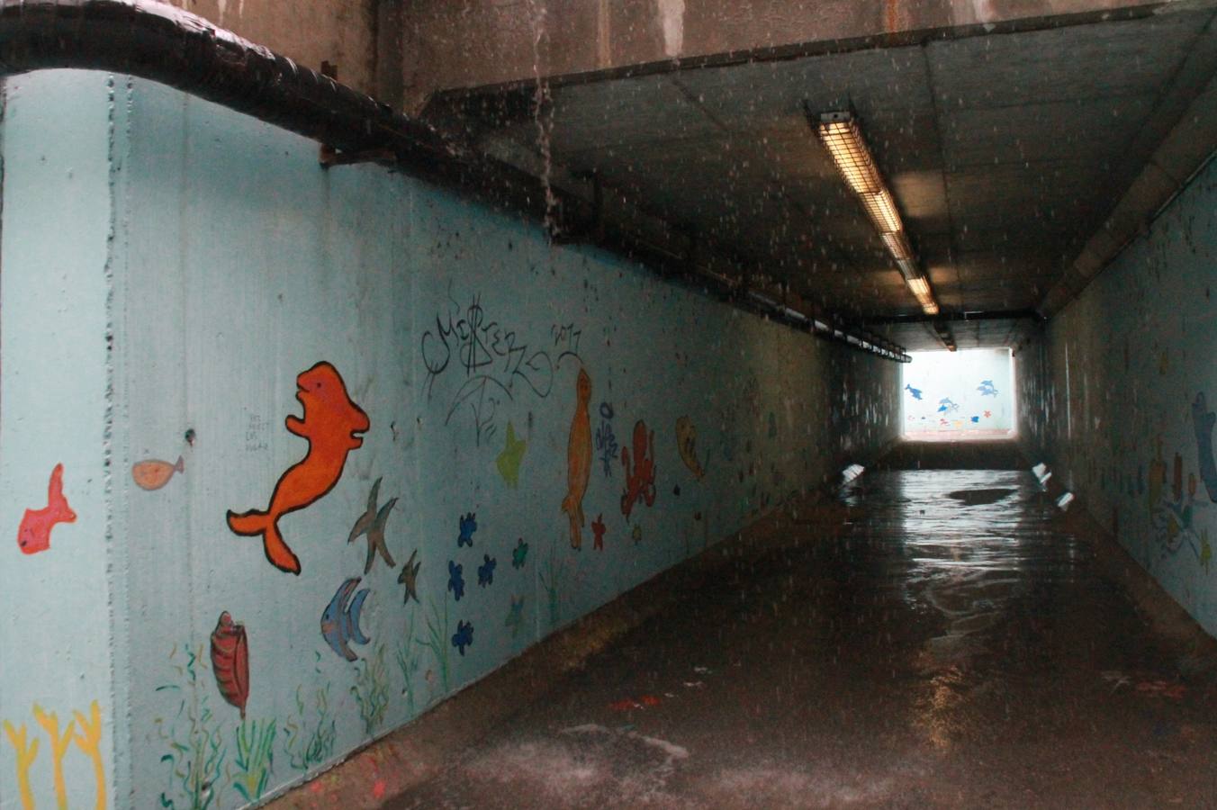 Consecuencias de la tormenta en Simancas