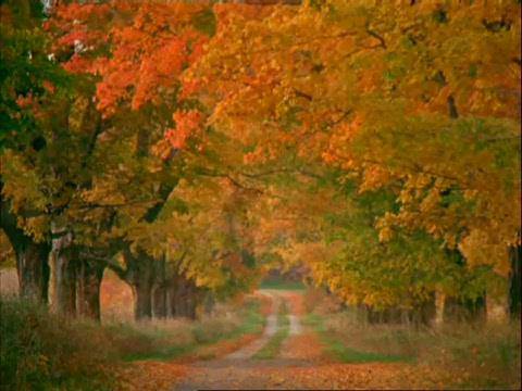 Los bellos paisajes en Avonlea eran uno de los platos fuertes de 'Ana de las Tejas Verdes'.