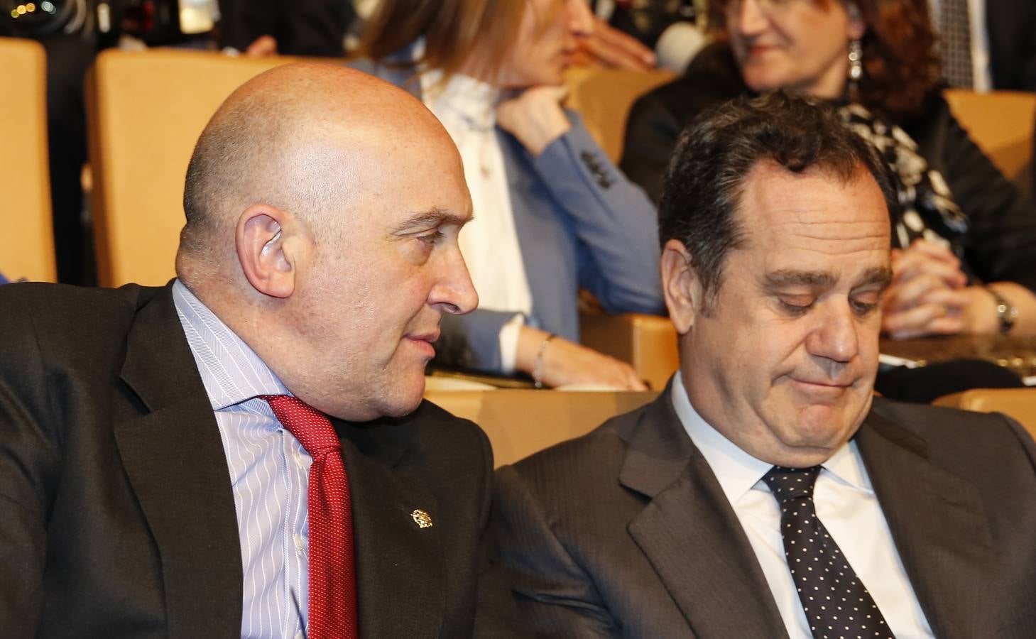 Entrega de los Premios Castilla y León 2014 (2/4)