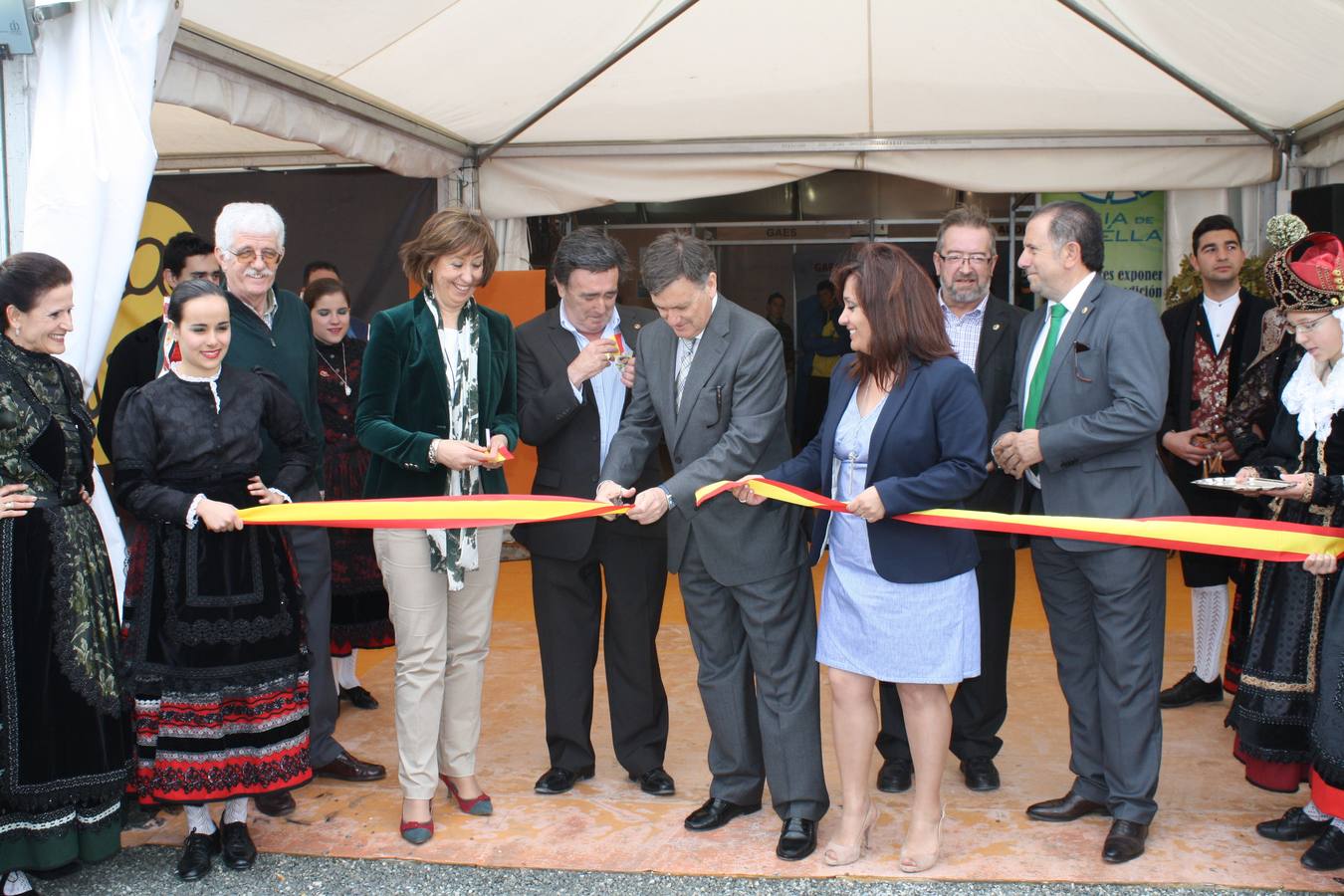 Feria Comarcal de Cuéllar 2015 (Segovia)