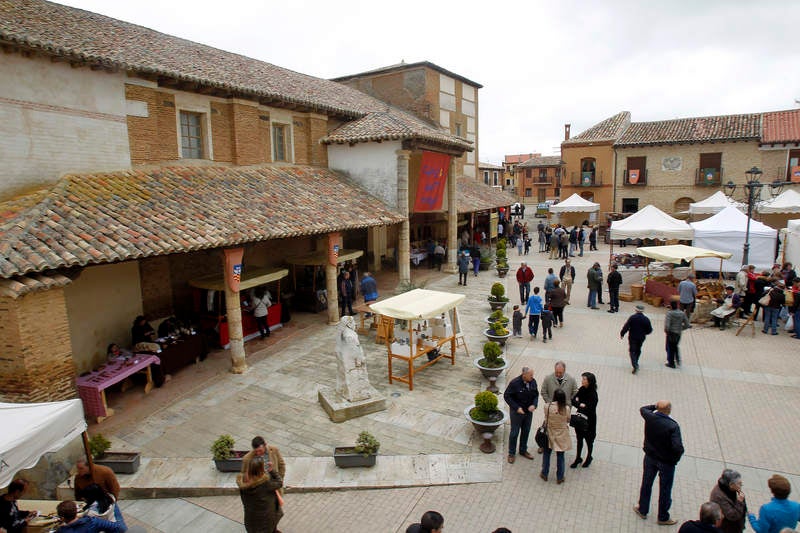 Feria de la Tradición en Cisneros (Palencia)