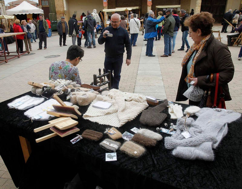Feria de la Tradición en Cisneros (Palencia)
