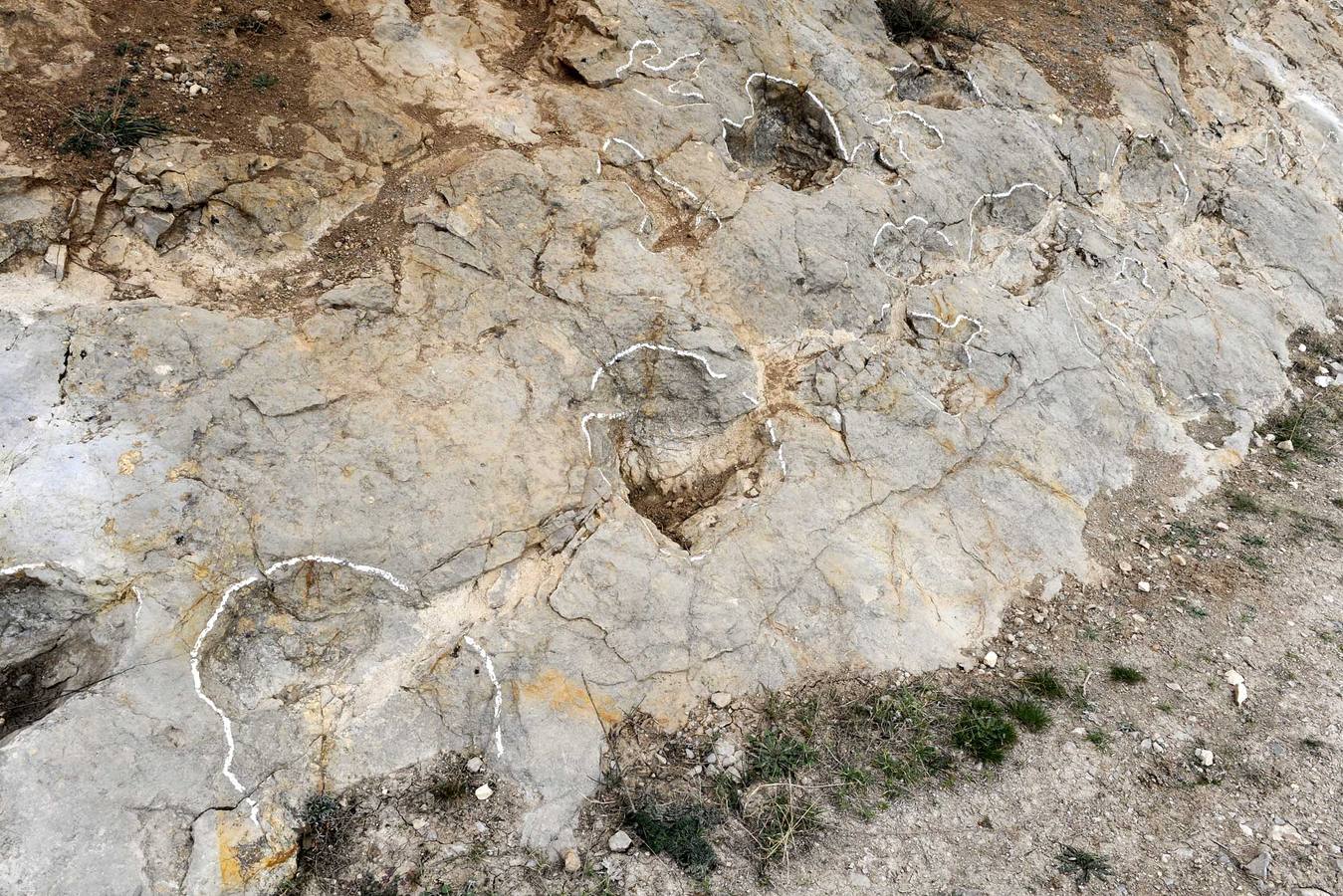 Yacimiento La Pedraja.