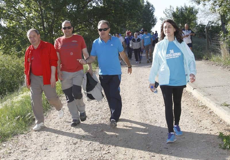 Sexta edición de la Marcha Aspanis en Palencia