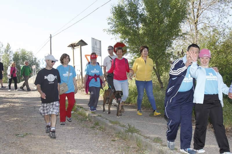 Sexta edición de la Marcha Aspanis en Palencia