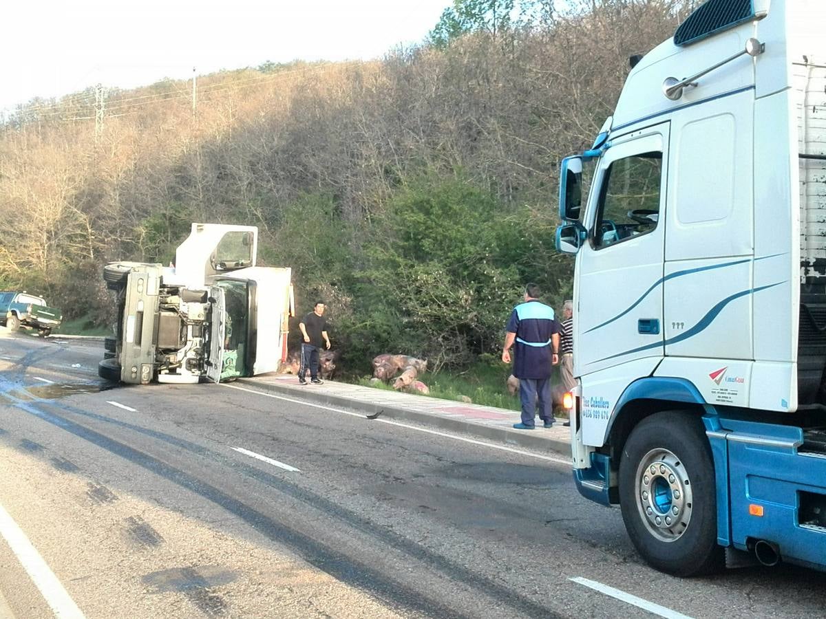 Vuelca un camión cargado de cerdos en la carretera de León a Guardo (Palencia)