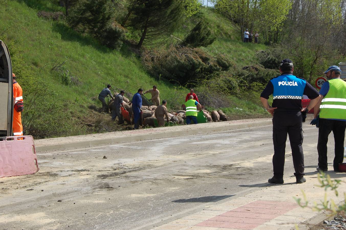 Vuelca un camión cargado de cerdos en la carretera de León a Guardo (Palencia)