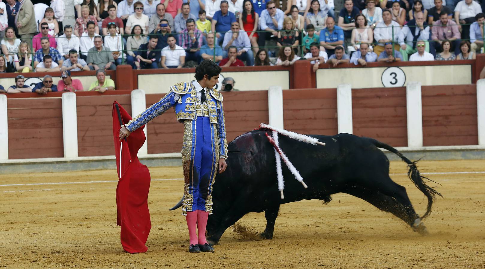 Castella abre la Puerta Grande de la Feria de San Pedro Regalado 2015