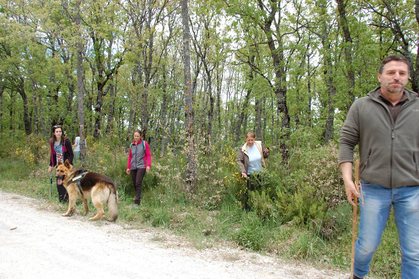 Vecinos de Guardo (Palencia) participan en la búsqueda del vecino desaparecido