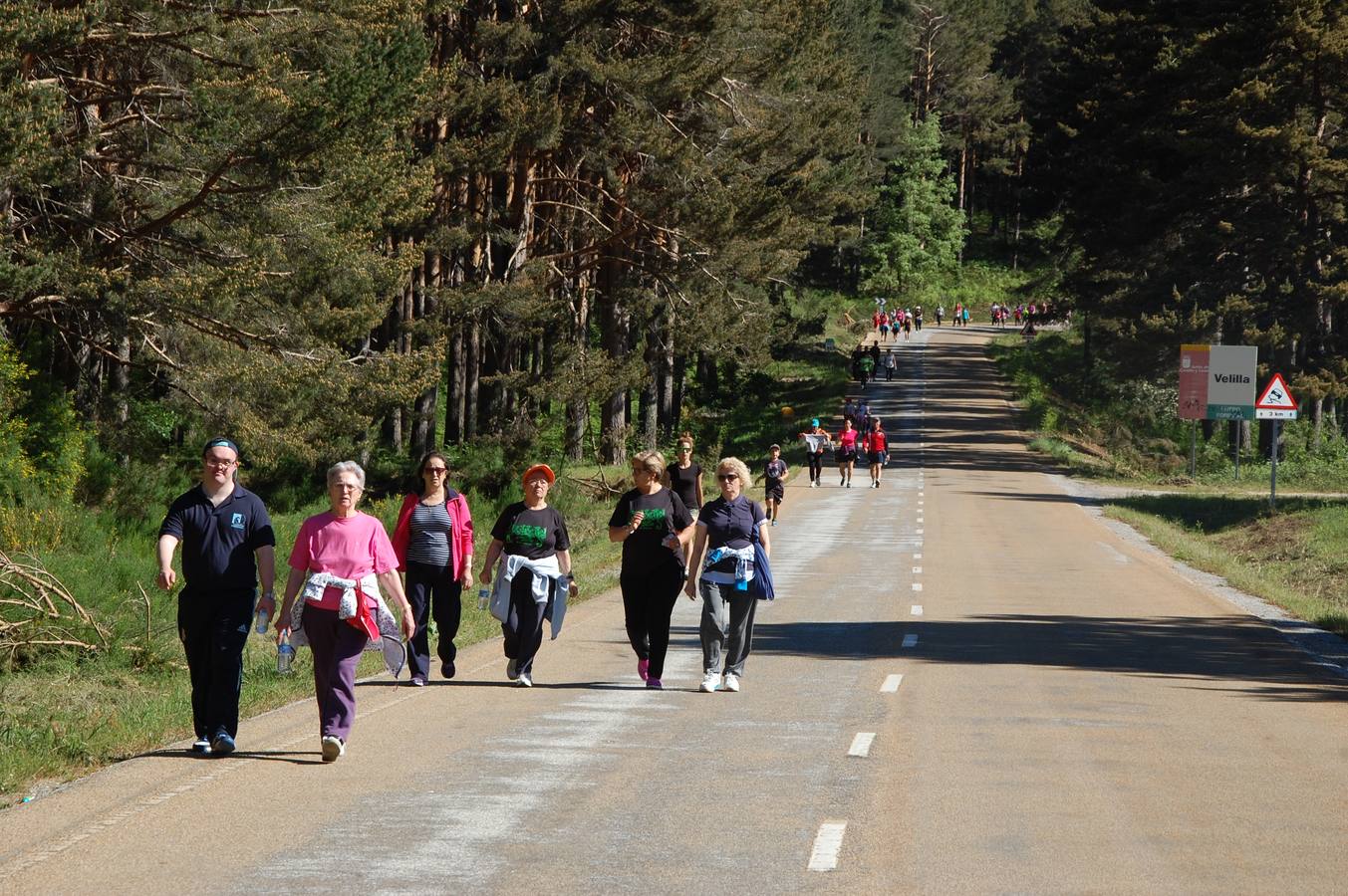 Marcha Adecas en Palencia (1/2)