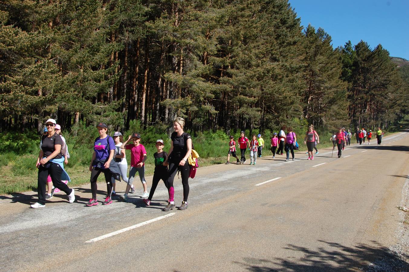 Marcha Adecas en Palencia (1/2)