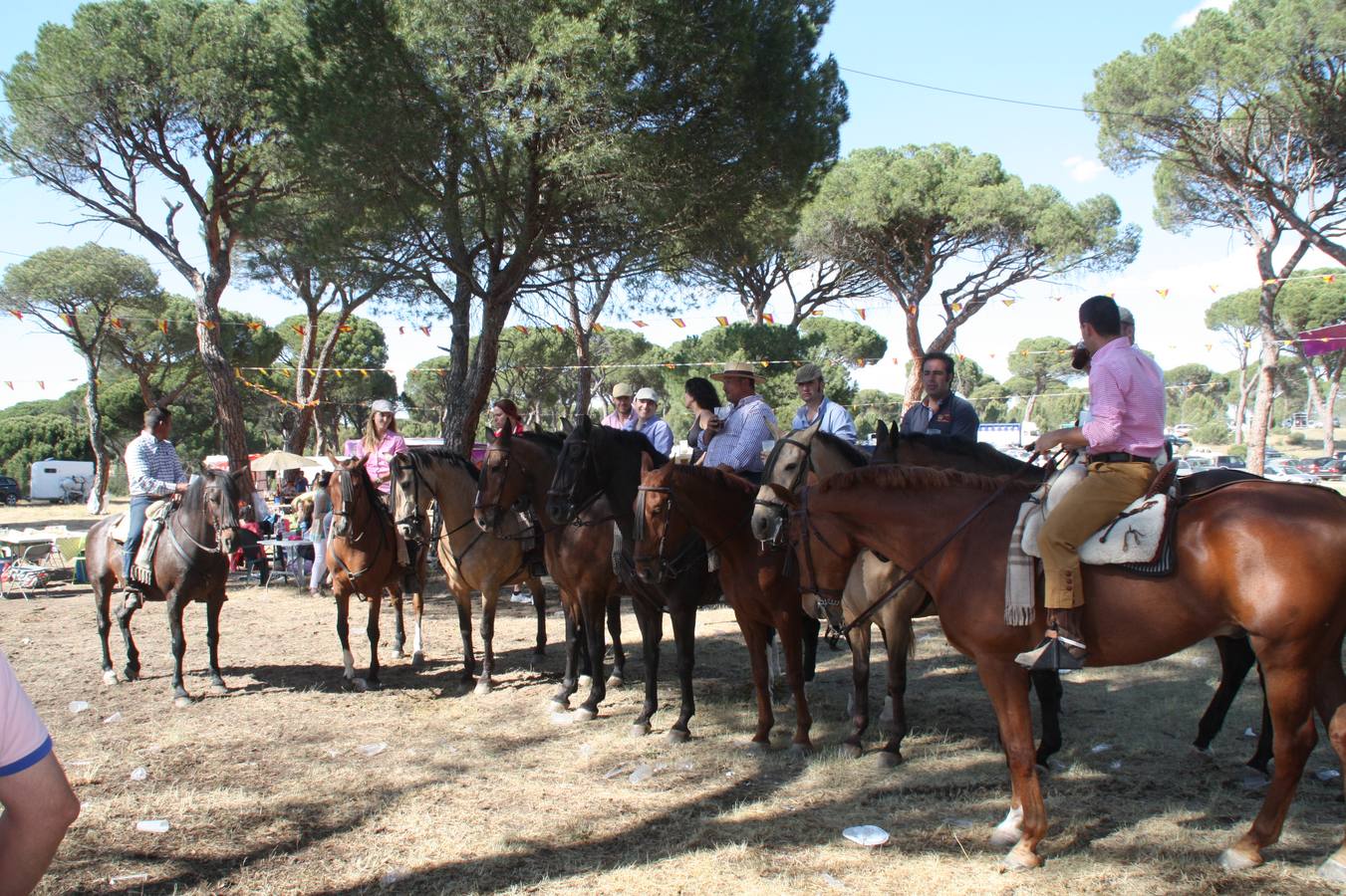 Feria de Primavera de Nava de la Asunción (Segovia)