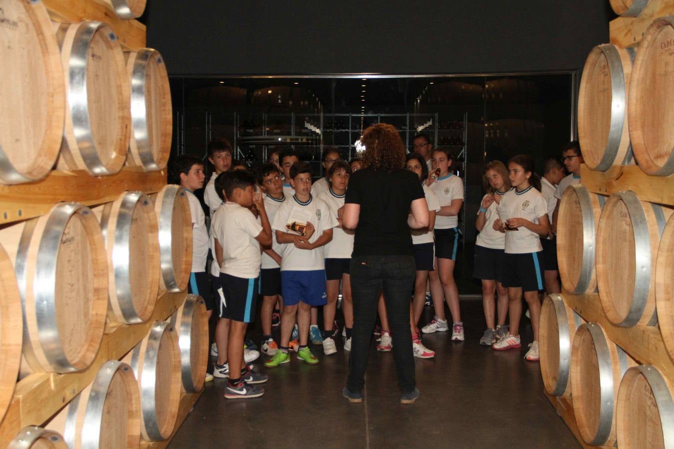 Alumnos de la Inmaculada de Peñafiel participan en un taller de poda en la bodega Cepa 21