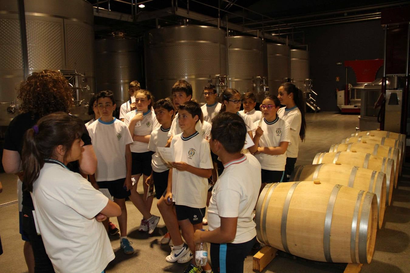 Alumnos de la Inmaculada de Peñafiel participan en un taller de poda en la bodega Cepa 21