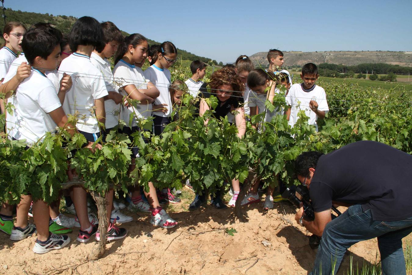 Alumnos de la Inmaculada de Peñafiel participan en un taller de poda en la bodega Cepa 21