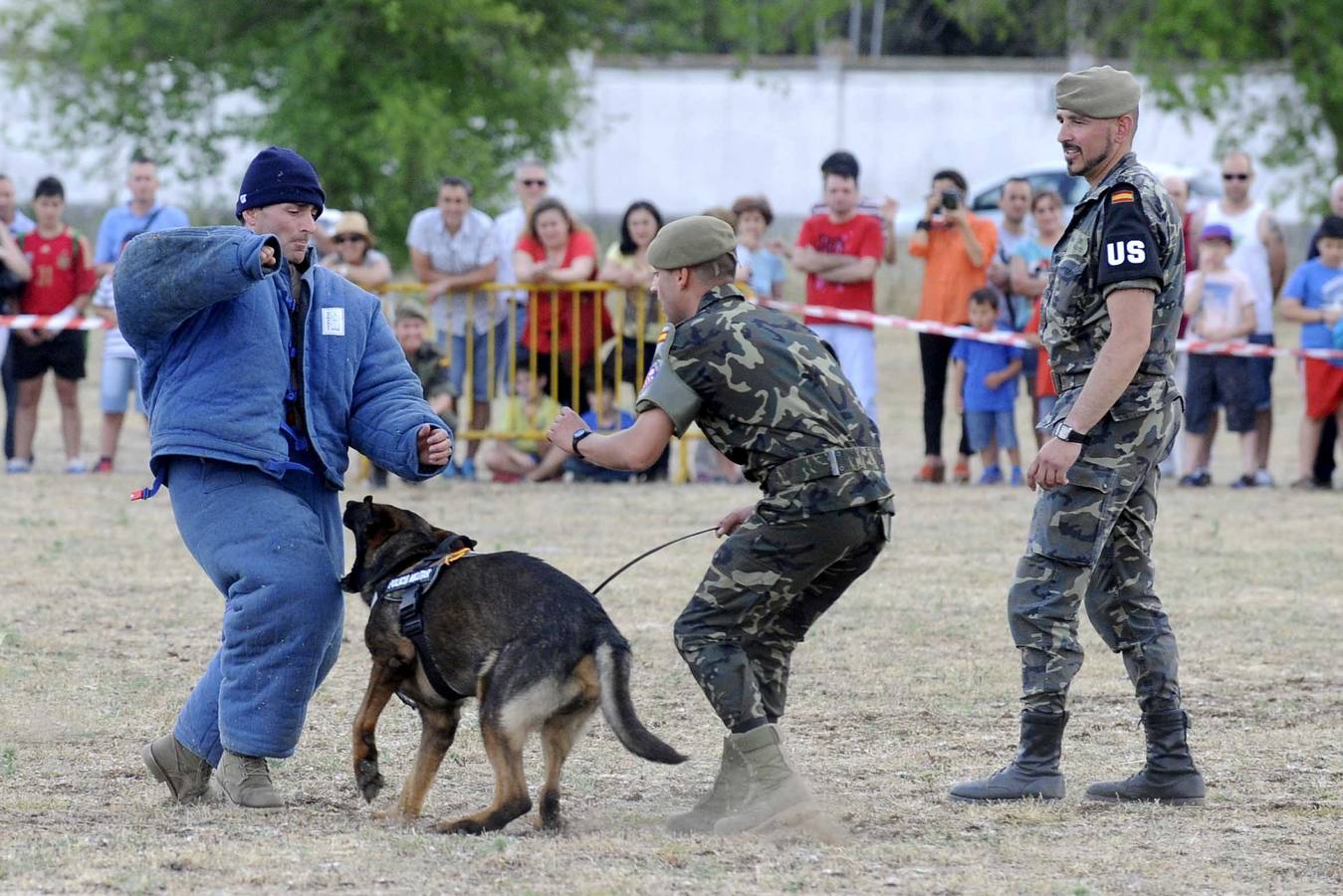 Exhibición de perros y aviones en el acuartelamiento de San Isidro (Valladolid)