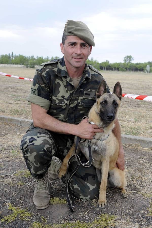 Exhibición de perros y aviones en el acuartelamiento de San Isidro (Valladolid)