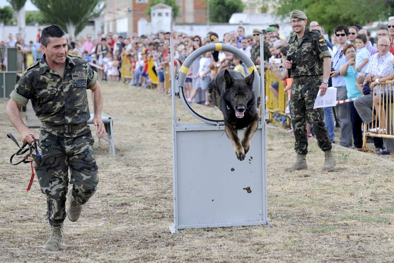 Exhibición de perros y aviones en el acuartelamiento de San Isidro (Valladolid)