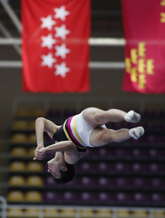 Campeonato de España de Trampolín